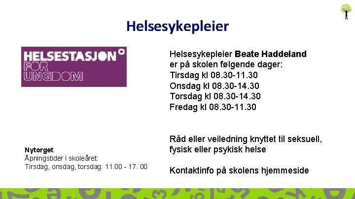 Helsesykepleier Beate Haddeland er på skolen følgende dager: Tirsdag kl 08. 30 -11. 30