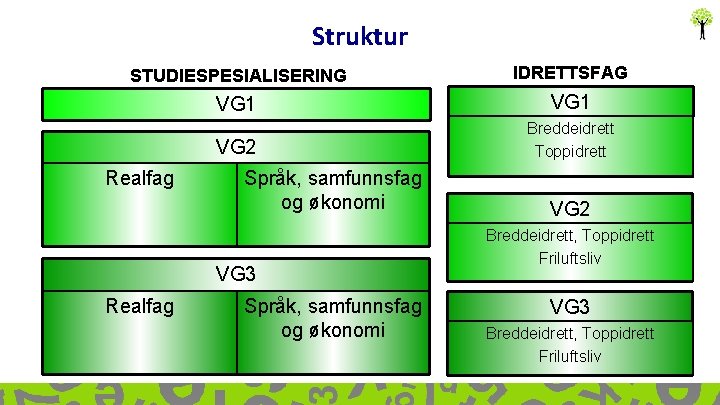 Struktur STUDIESPESIALISERING IDRETTSFAG VG 1 VG 2 Breddeidrett Toppidrett Realfag Språk, samfunnsfag og økonomi