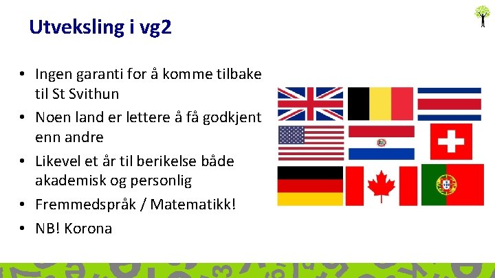 Utveksling i vg 2 • Ingen garanti for å komme tilbake til St Svithun