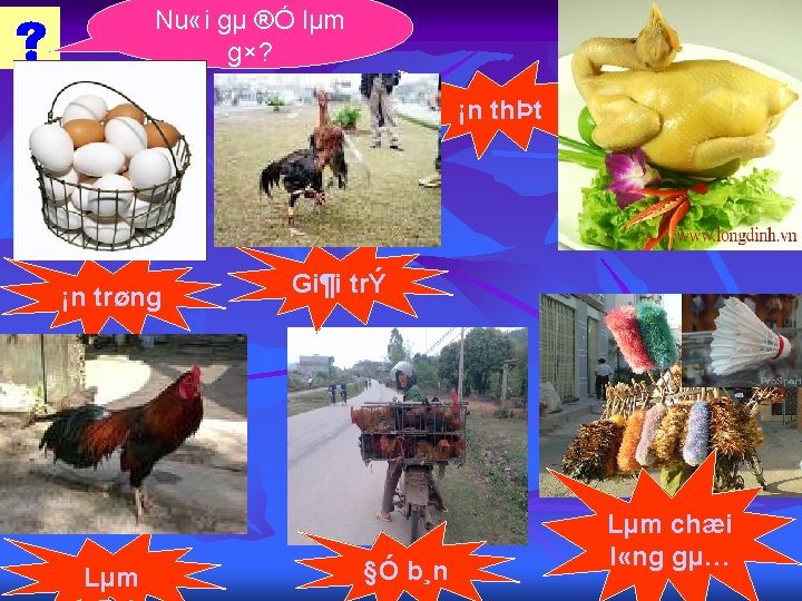 Nu «i gµ ®Ó lµm g×? ¡n thÞt ¡n trøng Lµm Gi¶i trÝ §Ó