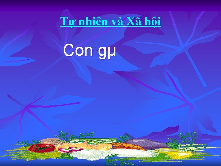 Tự nhiên và Xã hội Con gµ 