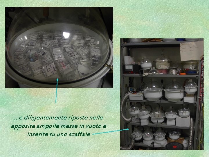 …e diligentemente riposto nelle apposite ampolle messe in vuoto e inserite su uno scaffale …e diligentemente riposto nelle apposite ampolle messe in vuoto e inserite su uno scaffale