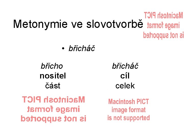 Metonymie ve slovotvorbě • břicháč břicho nositel část břicháč cíl celek 
