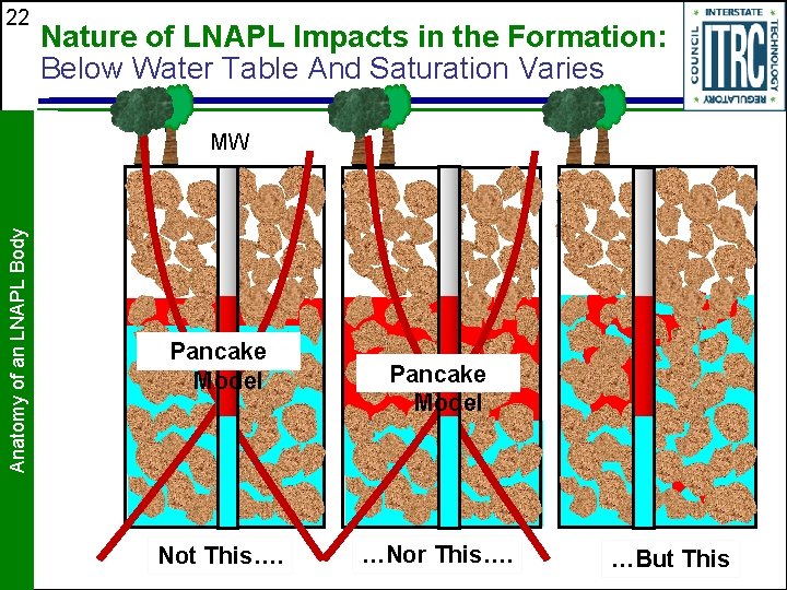 22 Nature of LNAPL Impacts in the Formation: Below Water Table And Saturation Varies