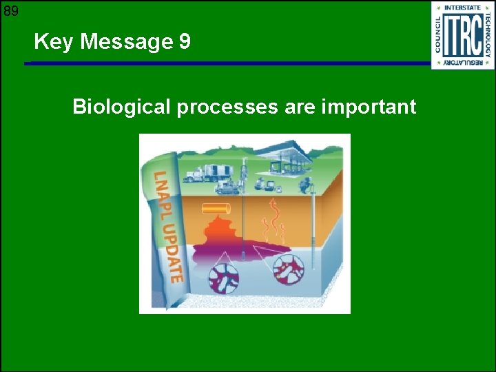 89 Key Message 9 Biological processes are important 