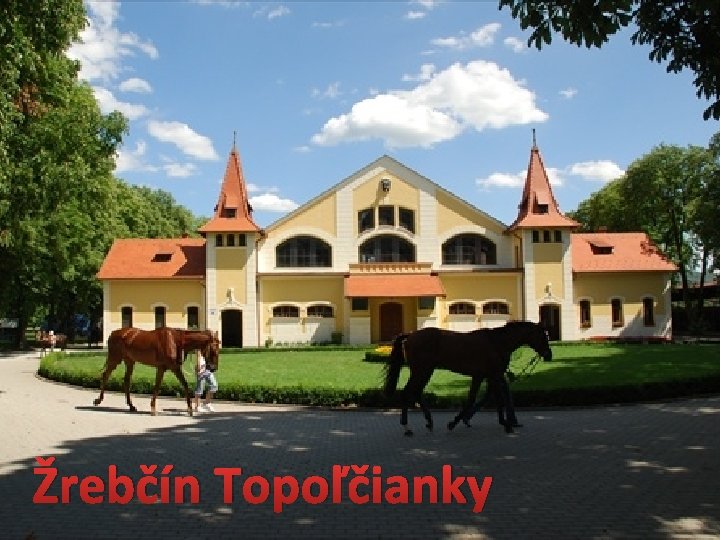 Žrebčín Topoľčianky 