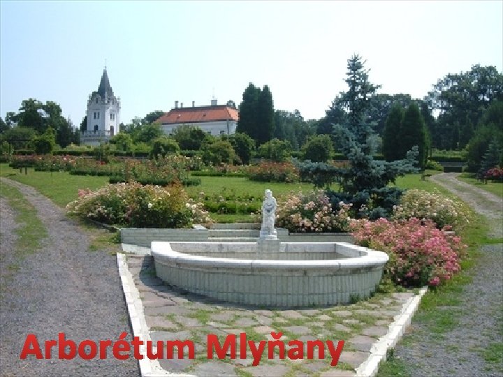 Arborétum Mlyňany 