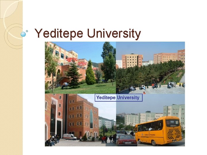 Yeditepe University 