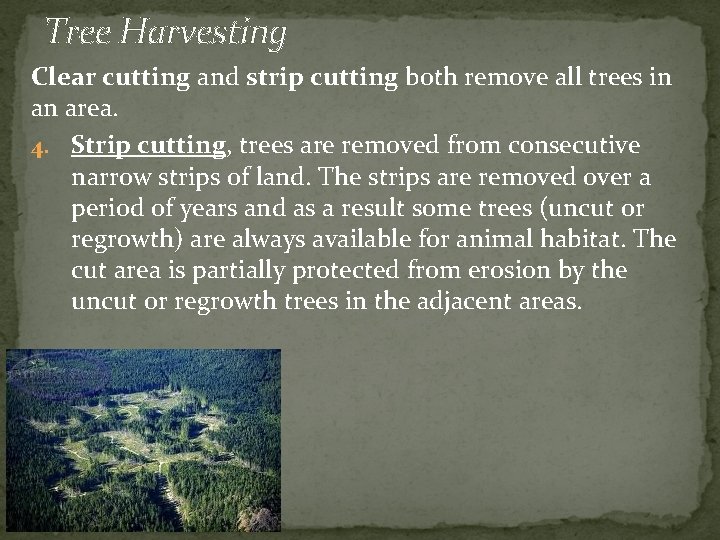 Tree Harvesting Clear cutting and strip cutting both remove all trees in an area.