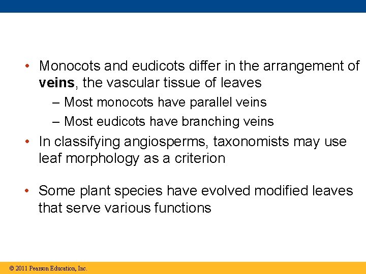 • Monocots and eudicots differ in the arrangement of veins, the vascular tissue