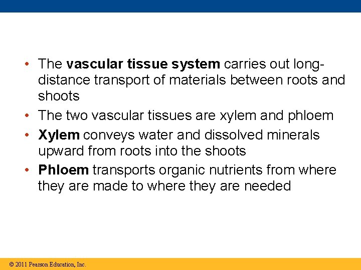  • The vascular tissue system carries out longdistance transport of materials between roots