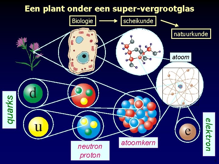 Een plant onder een super-vergrootglas Biologie scheikunde natuurkunde neutron proton atoomkern elektron quarks atoom