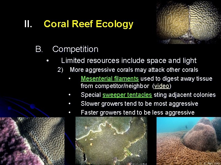 II. Coral Reef Ecology B. Competition • Limited resources include space and light 2)