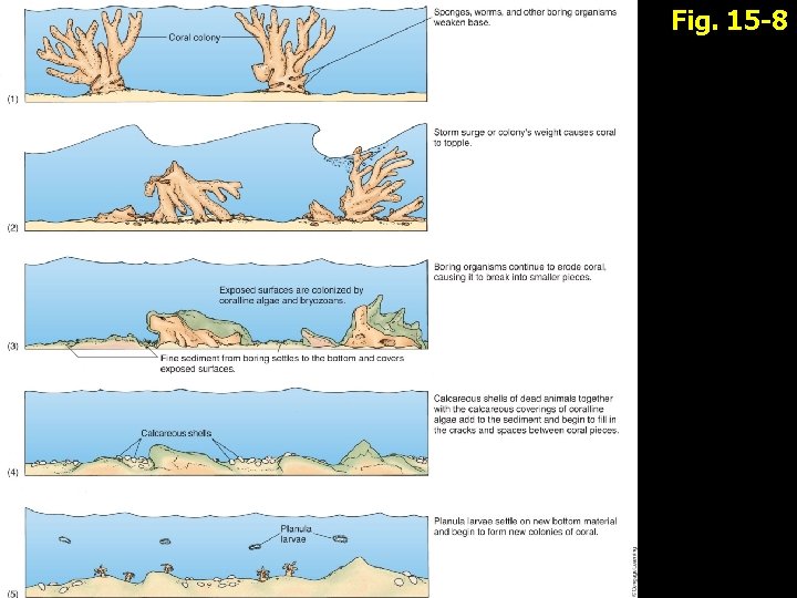 Fig. 15 -8 