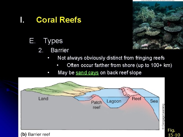 I. Coral Reefs E. Types 2. Barrier • • Not always obviously distinct from