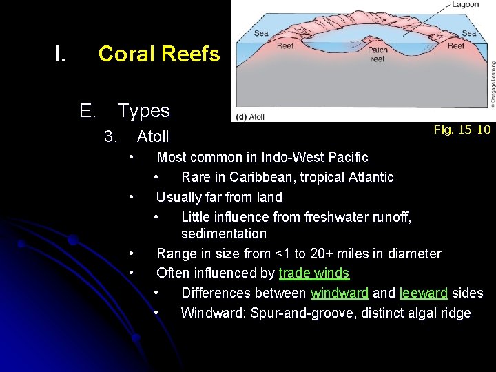 I. Coral Reefs E. Types 3. Atoll • • Fig. 15 -10 Most common