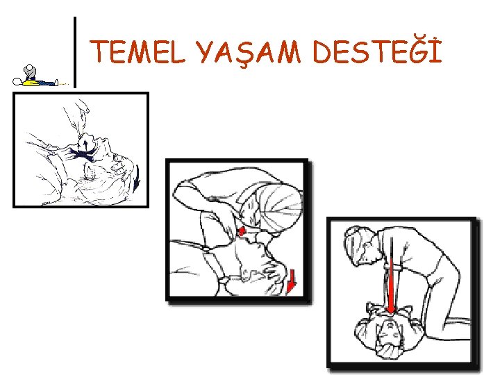 TEMEL YAŞAM DESTEĞİ 