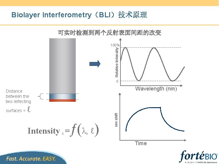 Biolayer Interferometry（BLI）技术原理 可实时检测到两个反射表面间距的改变 Relative Intensity 100% 0 Wavelength (nm) surfaces = ℓ Intensity λ