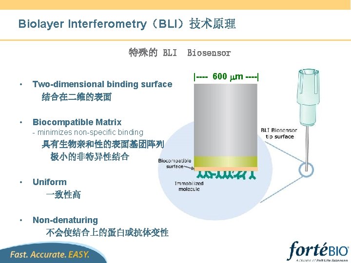 Biolayer Interferometry（BLI）技术原理 特殊的 BLI • Two-dimensional binding surface 结合在二维的表面 • Biocompatible Matrix - minimizes