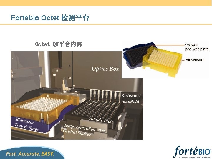 Fortebio Octet 检测平台 Octet QK平台内部 