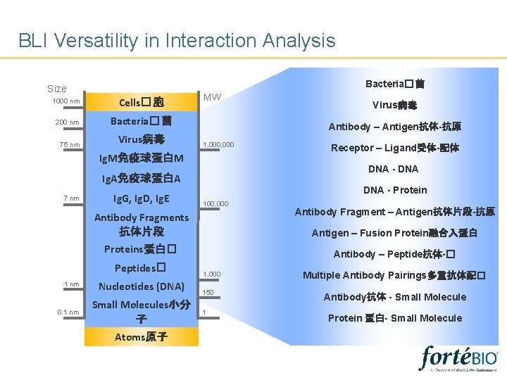 BLI Versatility in Interaction Analysis Bacteria� 菌 Size 1000 nm Cells� 胞 200 nm