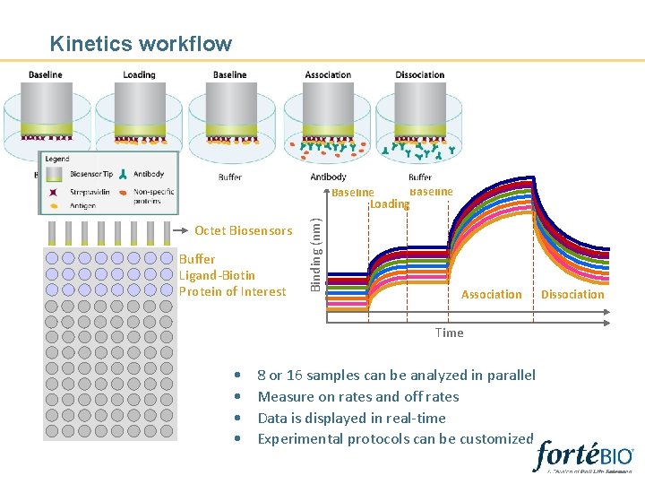 Kinetics workflow Octet Biosensors Buffer Ligand-Biotin Protein of Interest Binding (nm) Baseline Loading Association