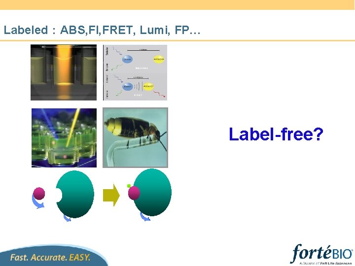Labeled：ABS, FI, FRET, Lumi, FP… Label-free? 