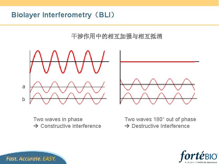 Biolayer Interferometry（BLI） 干涉作用中的相互加强与相互抵消 a b Two waves in phase Constructive interference http: //en. wikipedia.