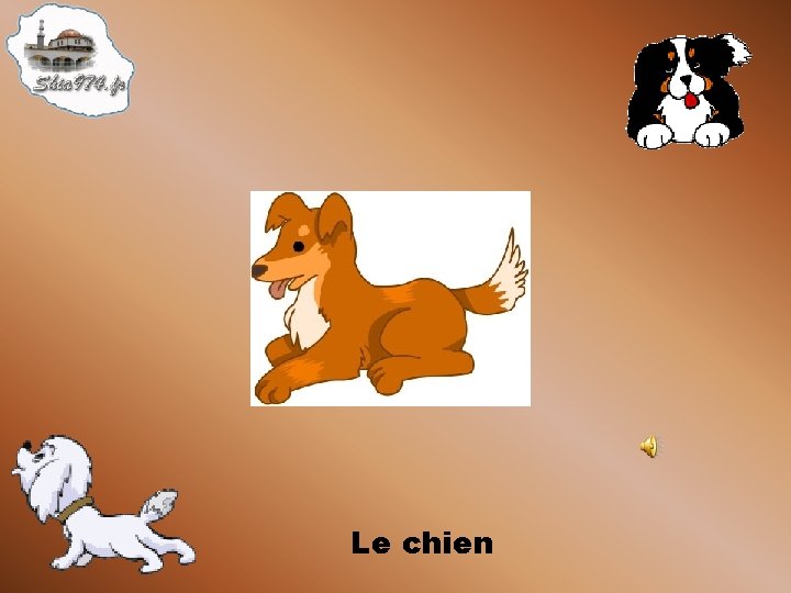 Le chien 