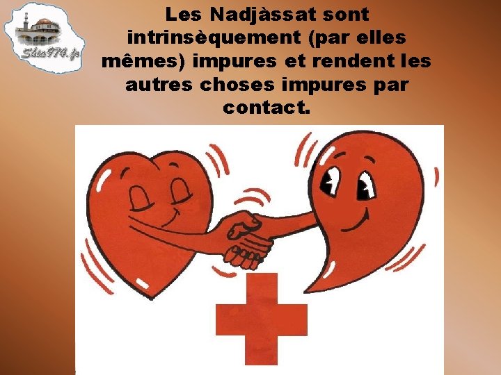 Les Nadjàssat sont intrinsèquement (par elles mêmes) impures et rendent les autres choses impures