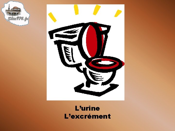 L’urine L’excrément 