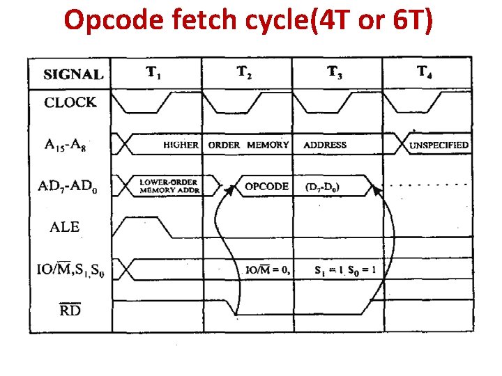 Opcode fetch cycle(4 T or 6 T) Opcode fetch cycle(4 T or 6 T)