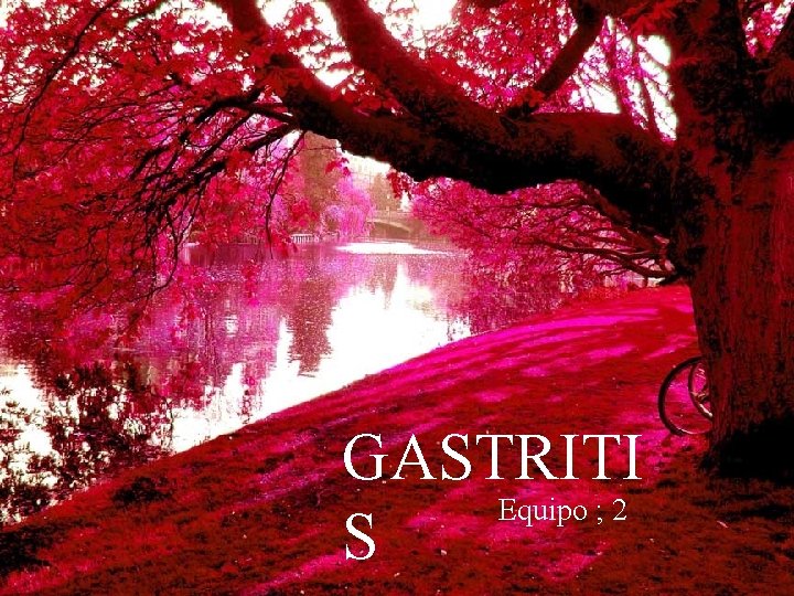 GASTRITI Equipo ; 2 S 