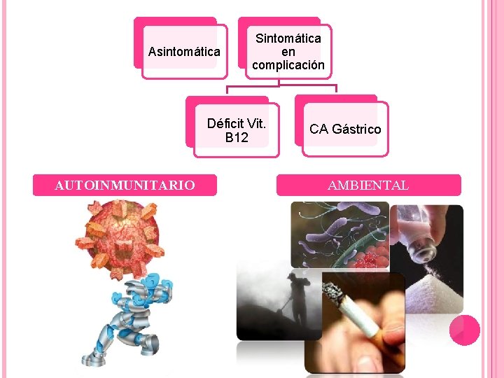 Asintomática Sintomática en complicación Déficit Vit. B 12 AUTOINMUNITARIO CA Gástrico AMBIENTAL 