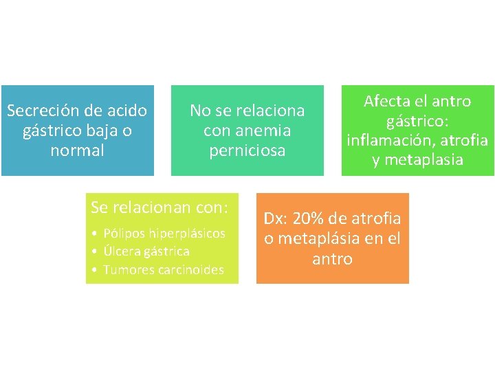 Secreción de acido gástrico baja o normal No se relaciona con anemia perniciosa Se