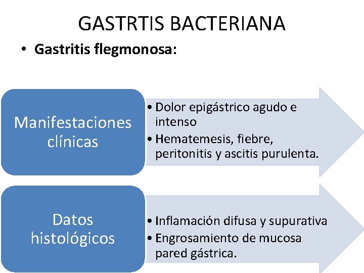 GASTRTIS BACTERIANA • Gastritis flegmonosa: Manifestaciones clínicas Datos histológicos • Dolor epigástrico agudo e