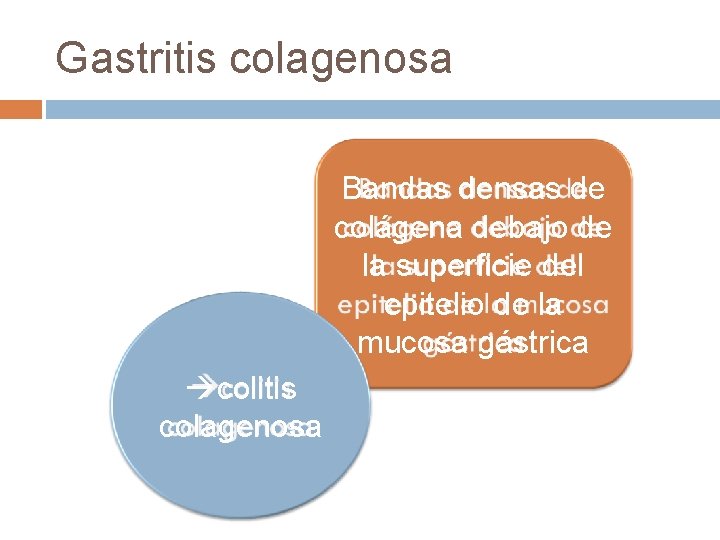 Gastritis colagenosa Bandas densas de colágena debajo de la superficie del epitelio de la