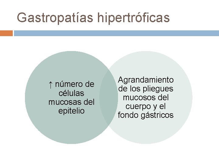 Gastropatías hipertróficas ↑ número de células mucosas del epitelio Agrandamiento de los pliegues mucosos