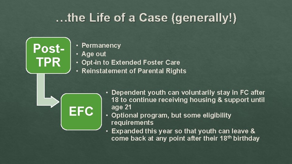 …the Life of a Case (generally!) Post. TPR • • Permanency Age out Opt-in