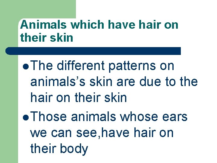 Animals which have hair on their skin l The different patterns on animals’s skin