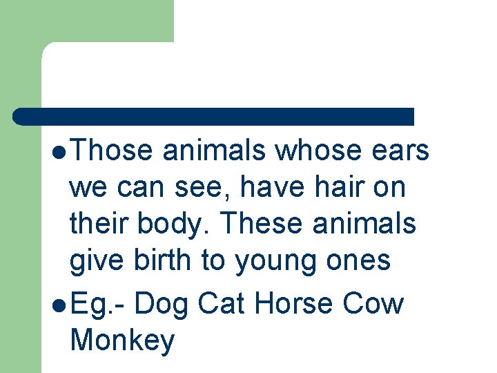 l Those animals whose ears we can see, have hair on their body. These