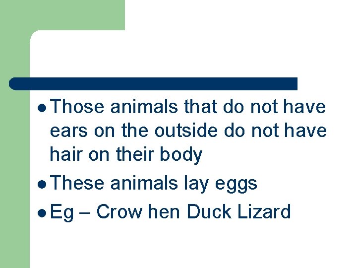l Those animals that do not have ears on the outside do not have