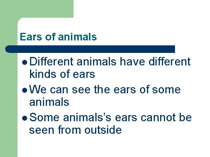 Ears of animals l Different animals have different kinds of ears l We can