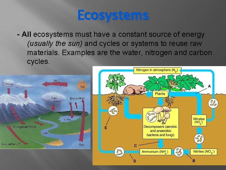 Ecosystems - All ecosystems must have a constant source of energy (usually the sun) Ecosystems - All ecosystems must have a constant source of energy (usually the sun)