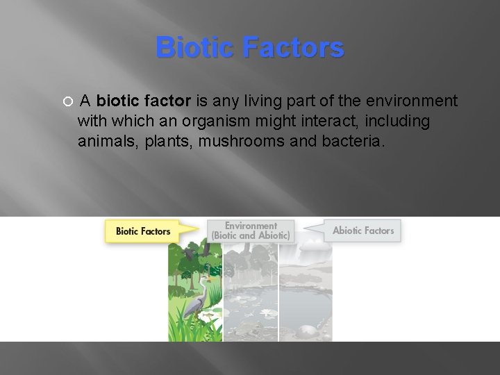 Biotic Factors A biotic factor is any living part of the environment with which Biotic Factors A biotic factor is any living part of the environment with which