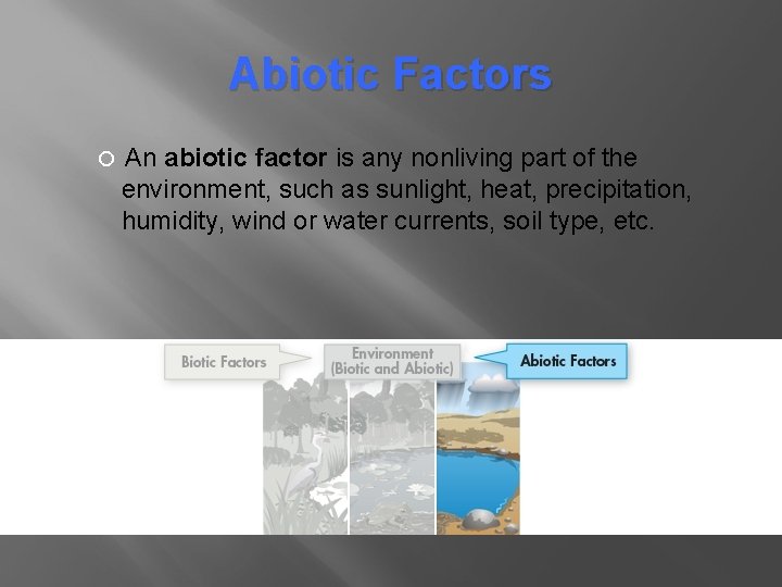 Abiotic Factors An abiotic factor is any nonliving part of the environment, such as Abiotic Factors An abiotic factor is any nonliving part of the environment, such as
