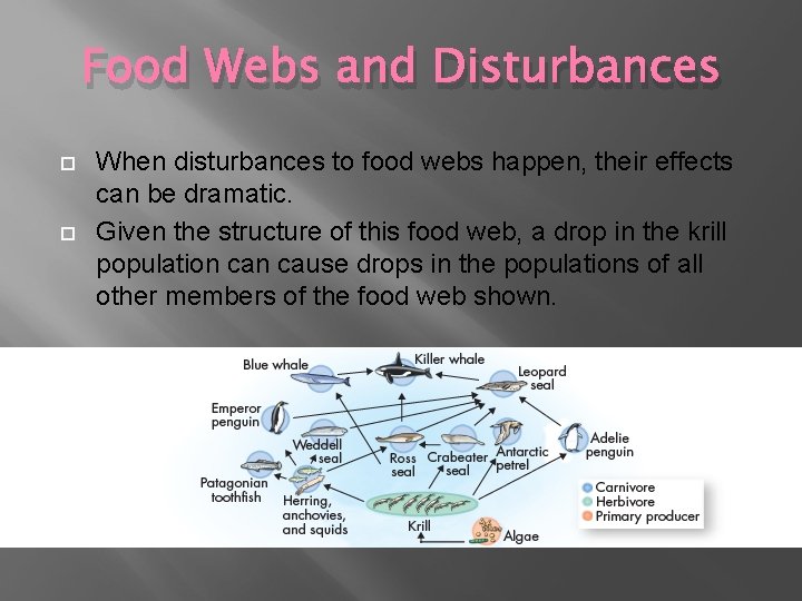Food Webs and Disturbances When disturbances to food webs happen, their effects can be Food Webs and Disturbances When disturbances to food webs happen, their effects can be