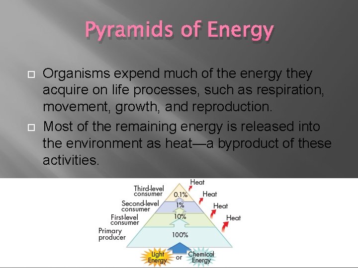 Pyramids of Energy Organisms expend much of the energy they acquire on life processes, Pyramids of Energy Organisms expend much of the energy they acquire on life processes,