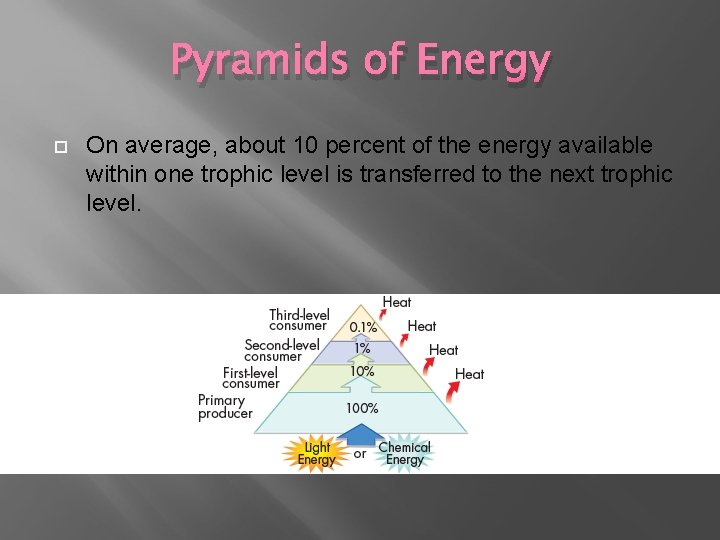 Pyramids of Energy On average, about 10 percent of the energy available within one Pyramids of Energy On average, about 10 percent of the energy available within one