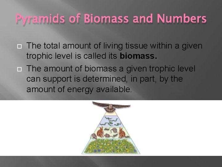 Pyramids of Biomass and Numbers The total amount of living tissue within a given Pyramids of Biomass and Numbers The total amount of living tissue within a given